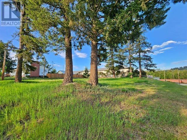 Lots 3& 4 Jones Street, Quesnel, BC