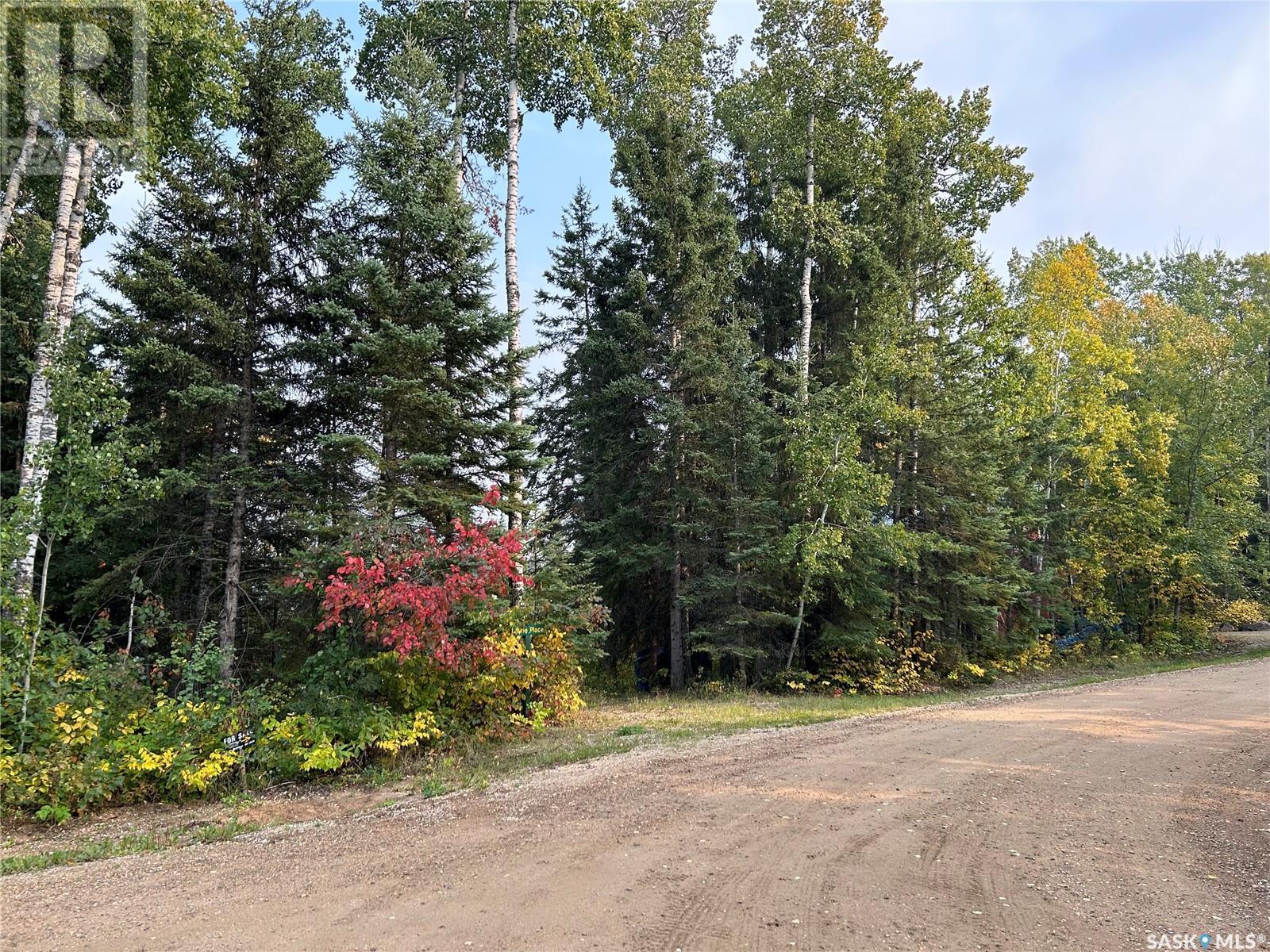 1301 Laurie Place, Paddockwood Rm No. 520, SK