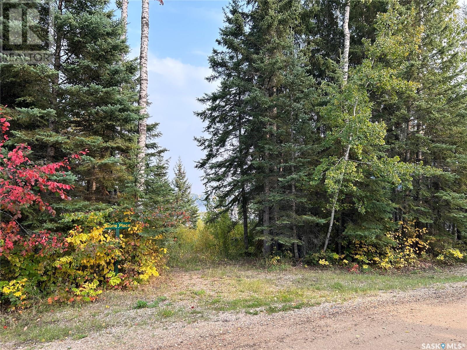 1301 Laurie Place, Paddockwood Rm No. 520, SK