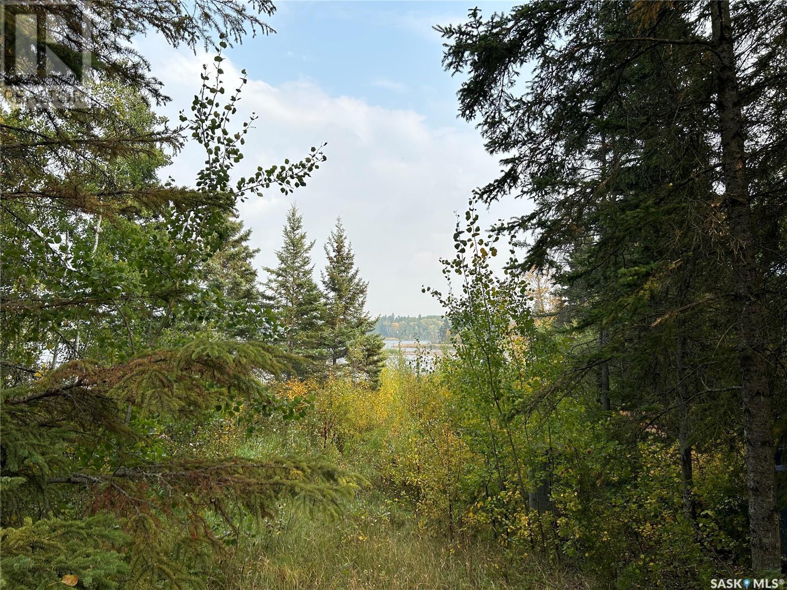 1301 Laurie Place, Paddockwood Rm No. 520, SK