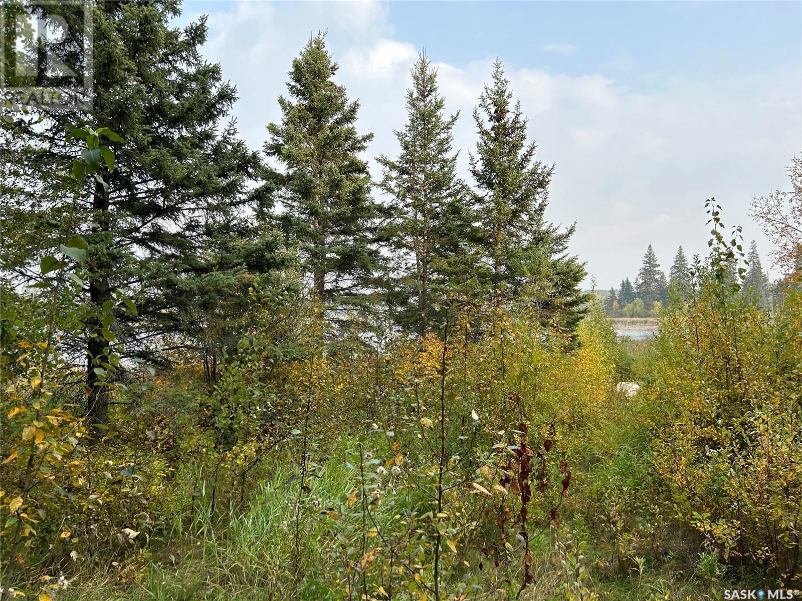 1301 Laurie Place, Paddockwood Rm No. 520, SK