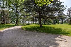View of front yard from front doorway -