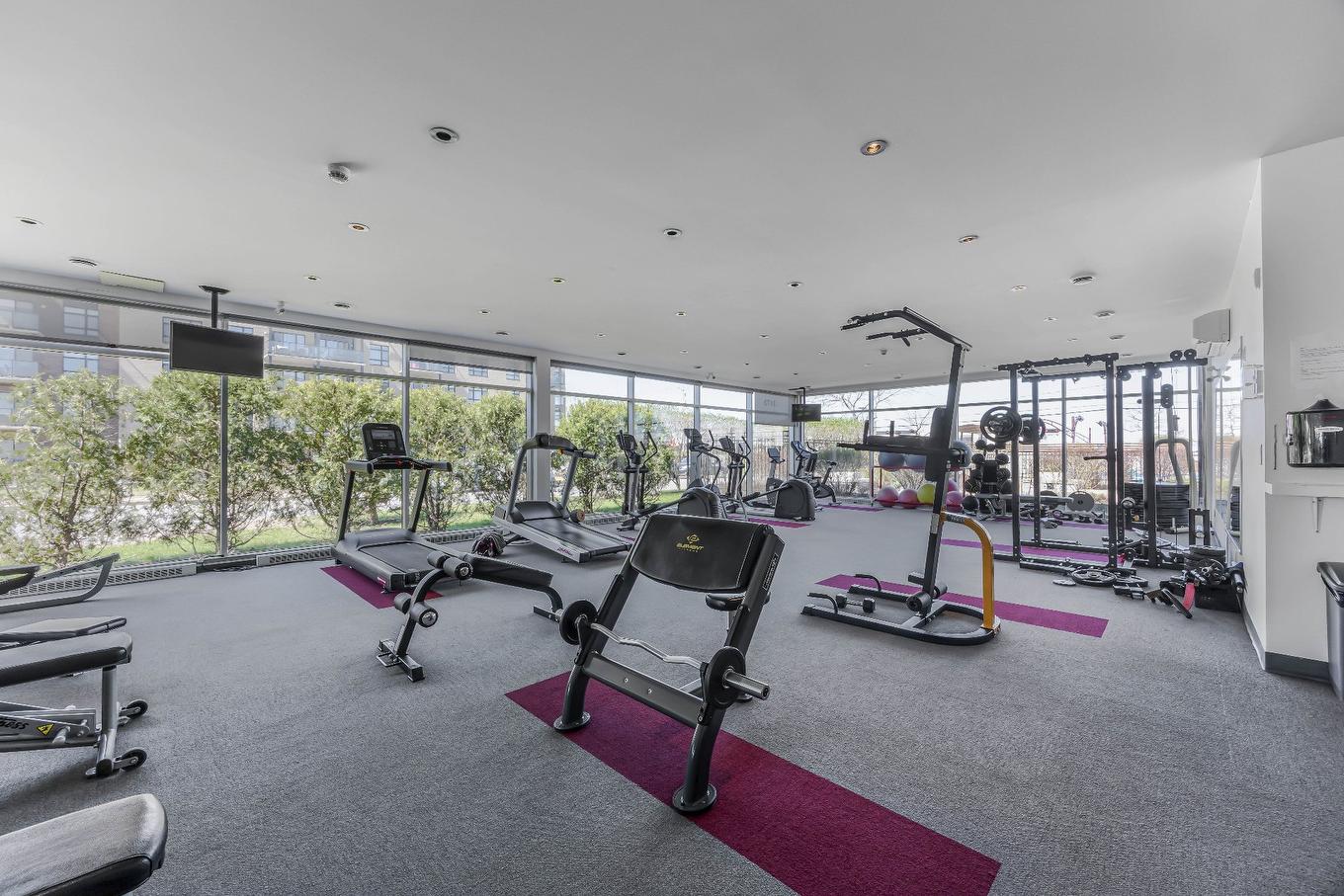 Salle d'exercice - 105-3165 Boul. De La Gare, Vaudreuil-Dorion, QC - Indoor Photo Showing Gym Room