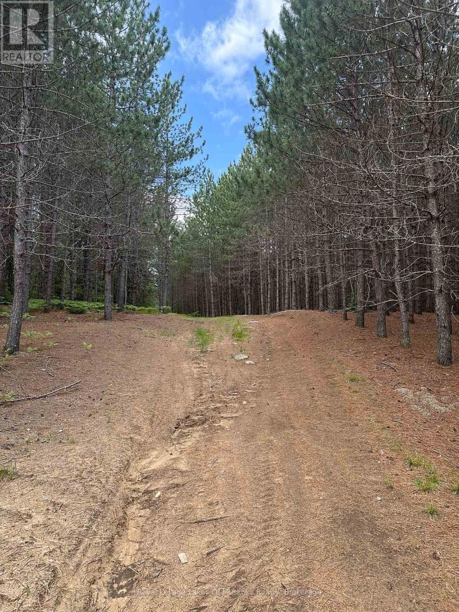 ATVing is Fun - 1958 518 Highway, Mcmurrich/Monteith (Sprucedale), ON - Outdoor