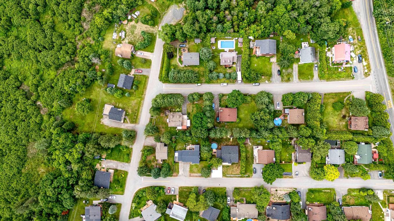 Vue d'ensemble - 22 Rue Daniel, Saint-Sauveur, QC - Outdoor With View