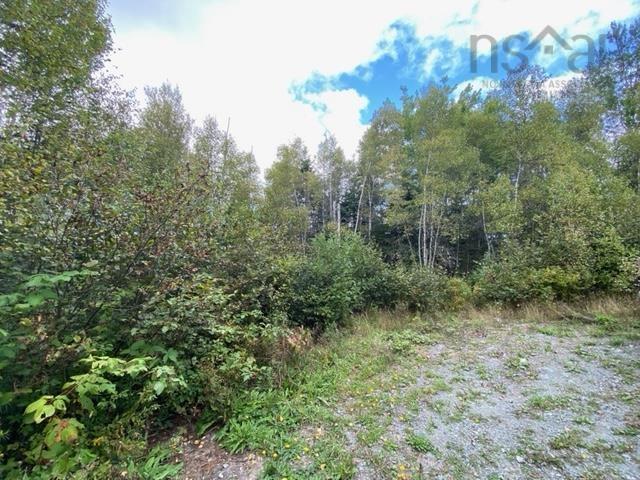 Lot 104 Highway, Linacy, NS