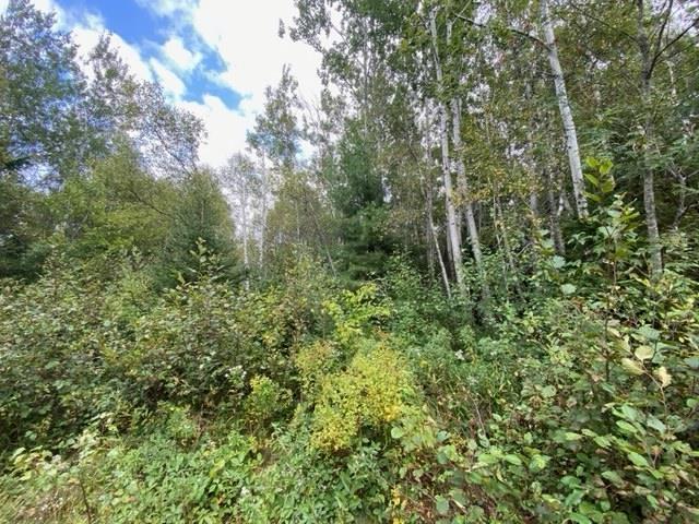 Lot 104 Highway, Linacy, NS