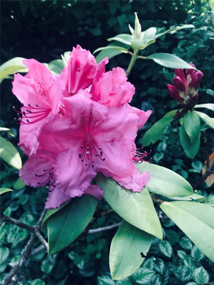 2146 Pauls Rd, Nanaimo, BC