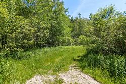 Land/Lot -