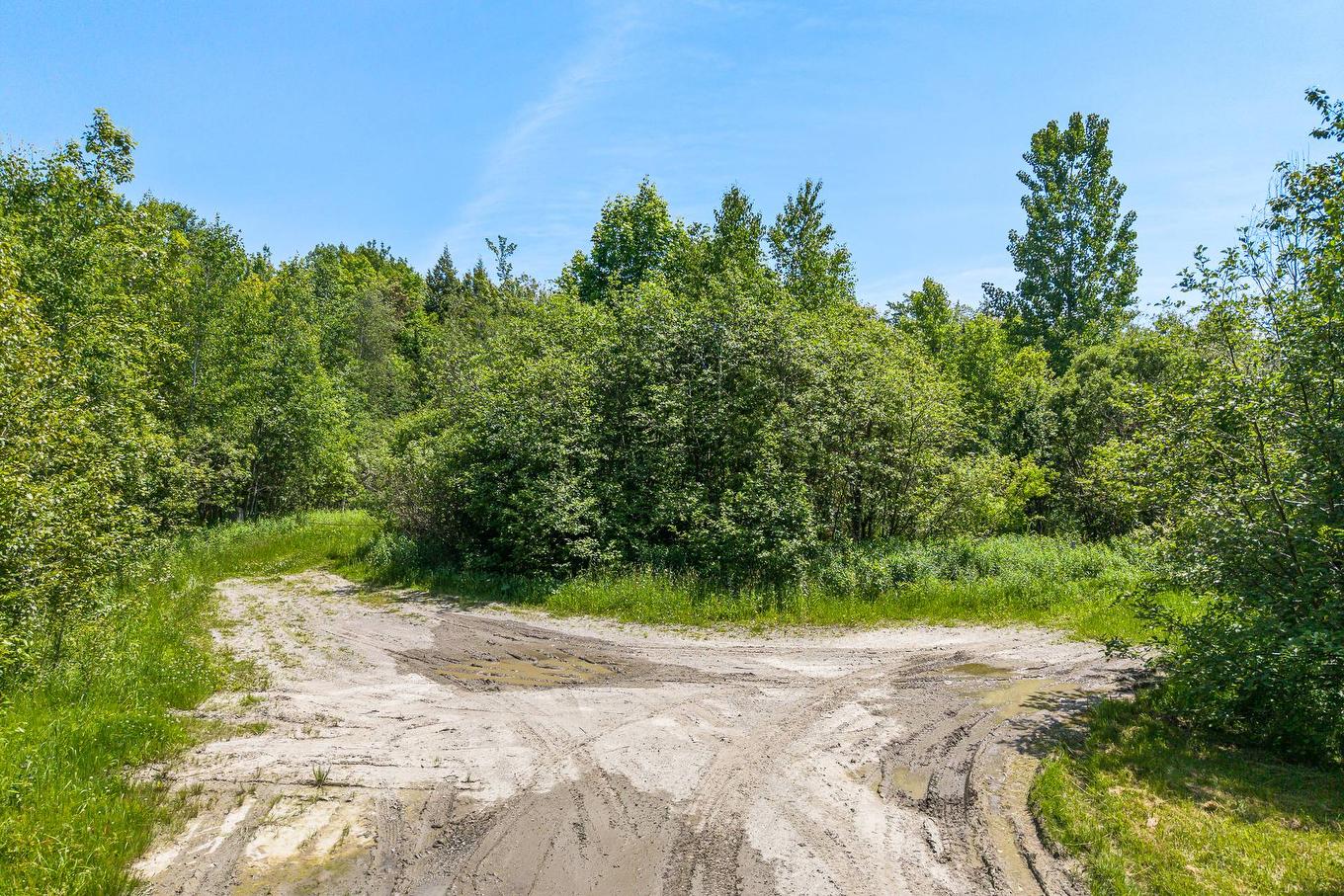 Terre/Terrain - Rue Du Plateau, Magog, QC