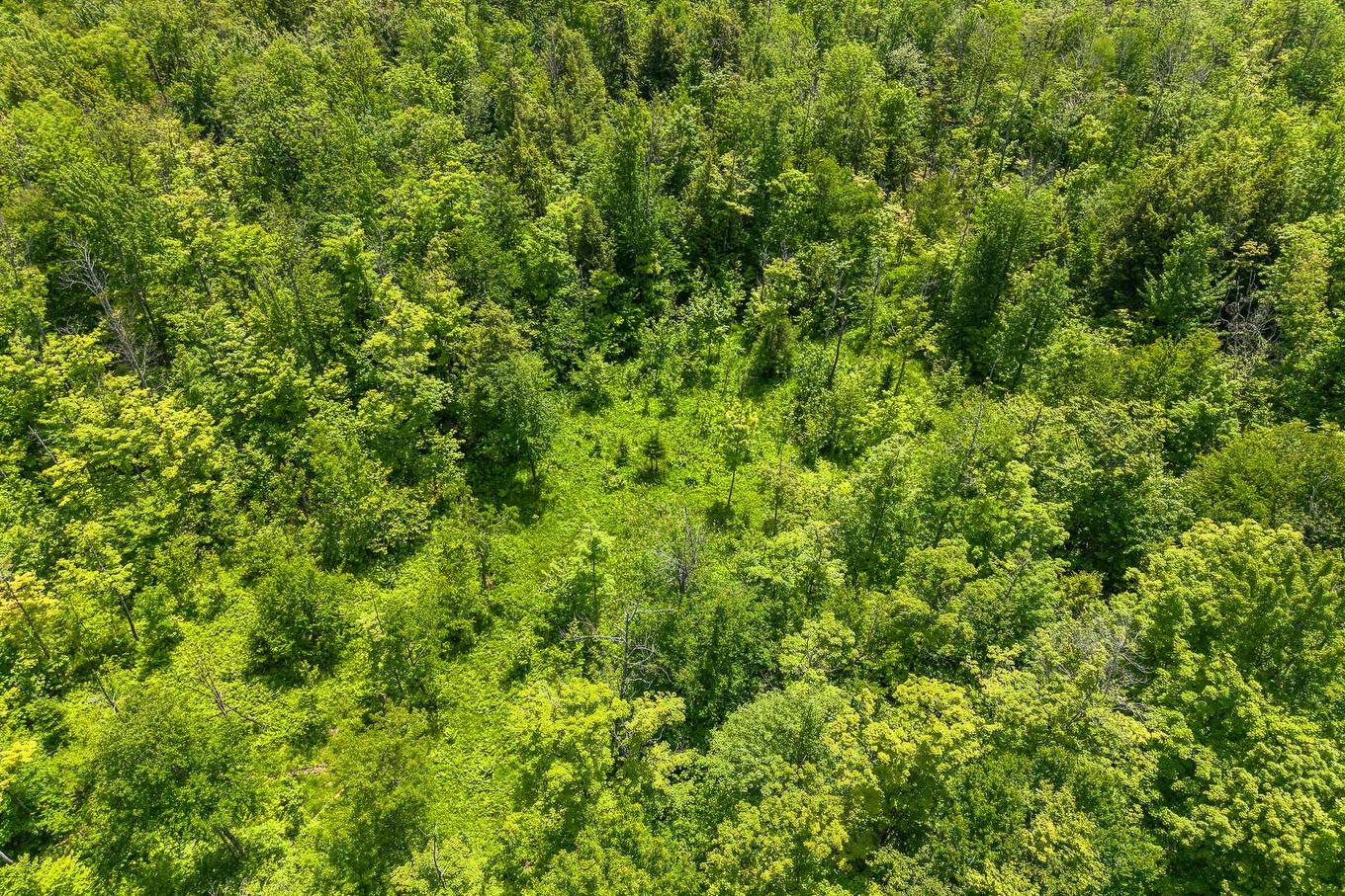 Photo aérienne - Rue Du Plateau, Magog, QC