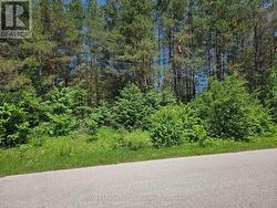 100 feet frontage on Jonathan Court -