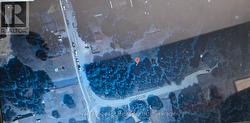 Treed Lot -