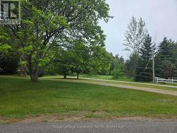 Walking trail across the street -