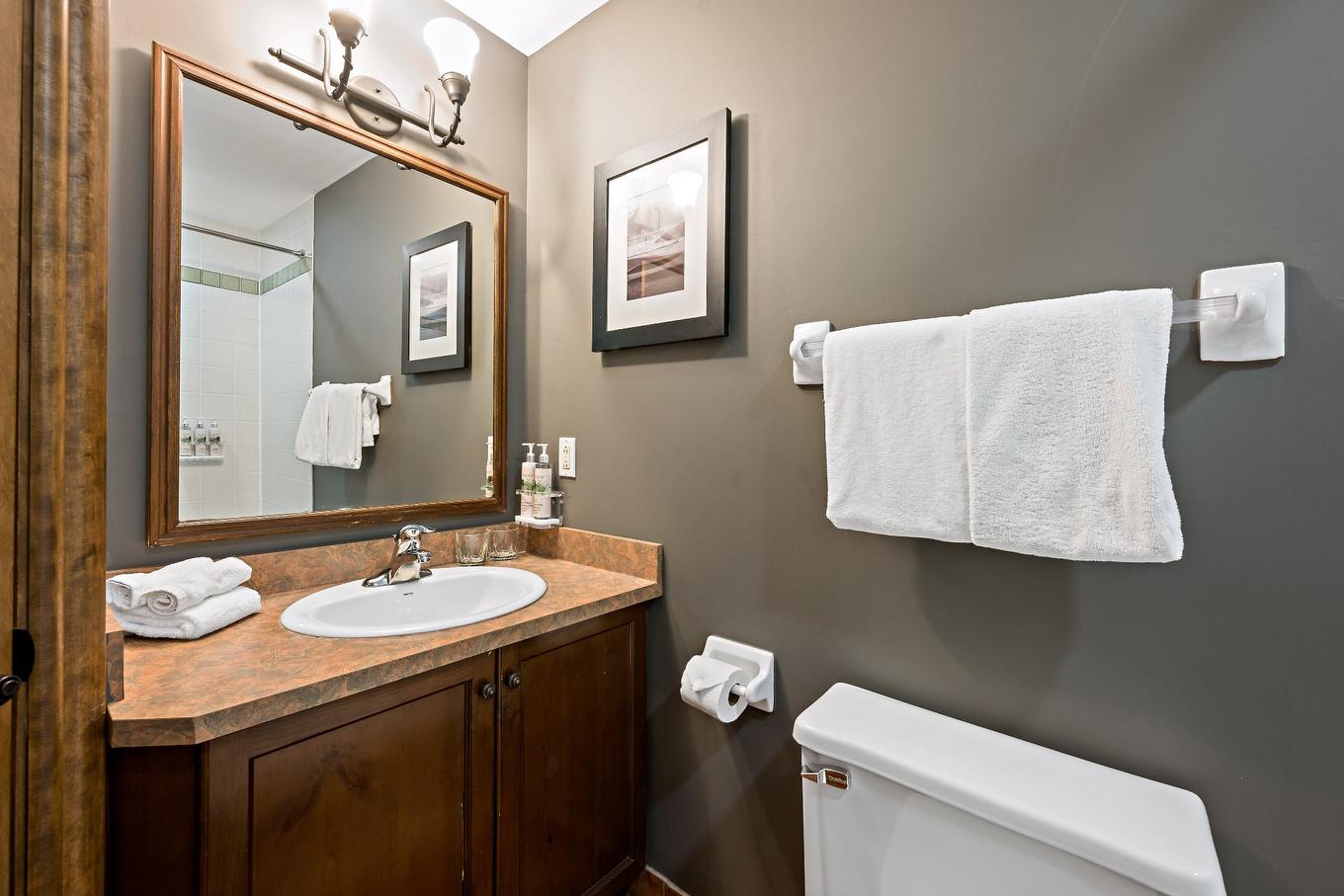 Bathroom - 26-2396 Rue Labelle, Mont-Tremblant, QC - Indoor Photo Showing Bathroom