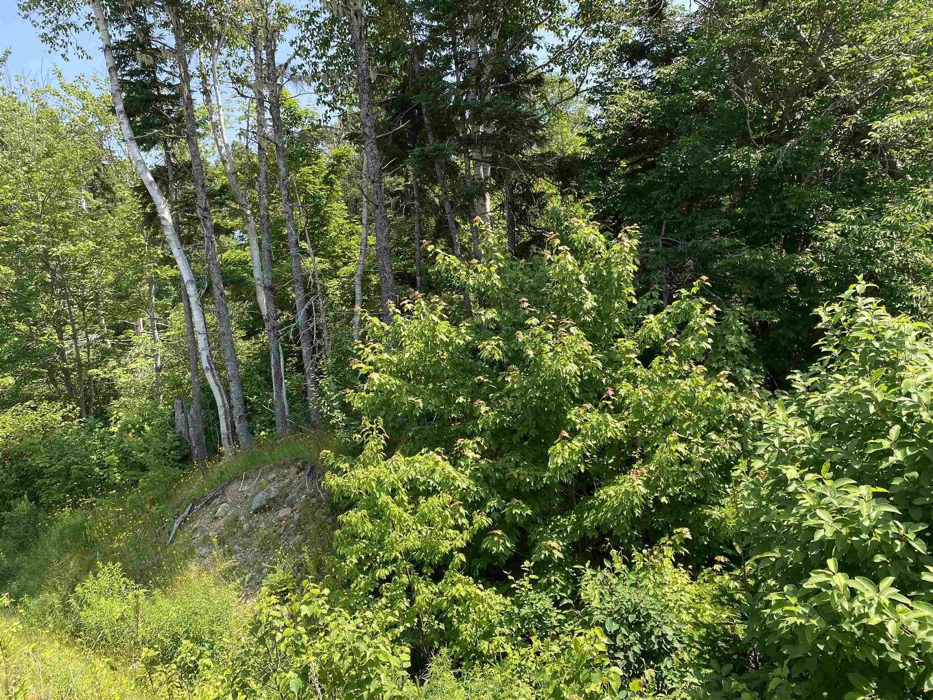 0 Cabot Trail, Tarbot, NS