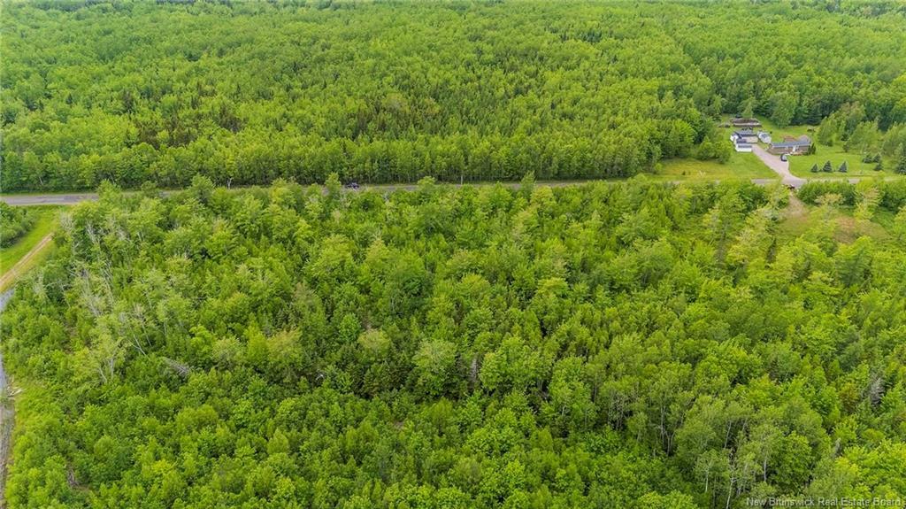 Lot 17-2 Collins Lake Rd, Shemogue, NB