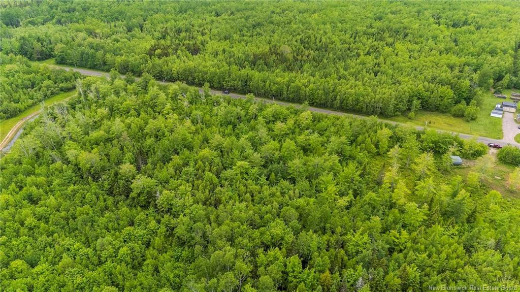 Lot 17-2 Collins Lake Rd, Shemogue, NB