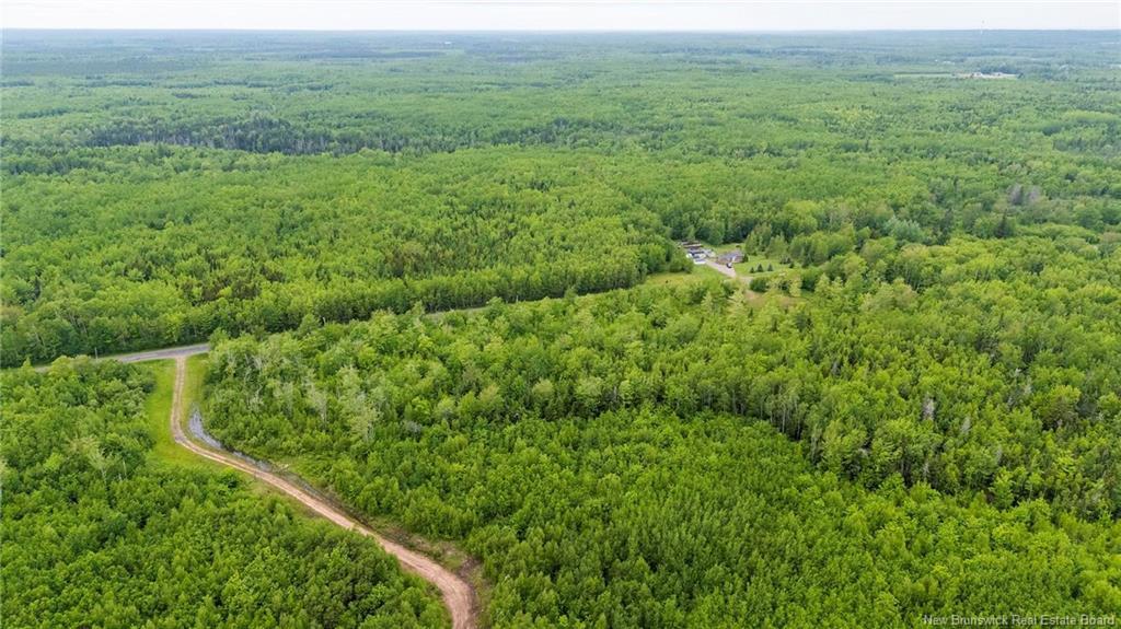 Lot 17-2 Collins Lake Rd, Shemogue, NB