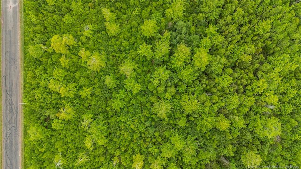 Lot 17-2 Collins Lake Rd, Shemogue, NB