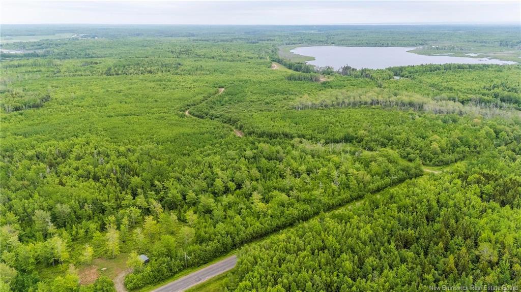Lot 17-2 Collins Lake Rd, Shemogue, NB