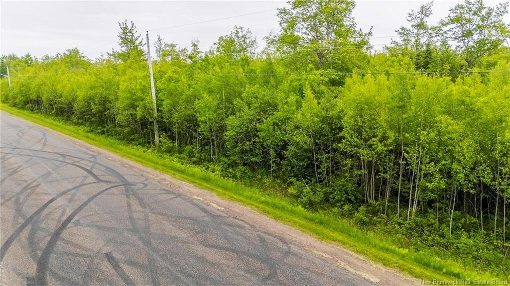 Lot 17-2 Collins Lake Rd, Shemogue, NB