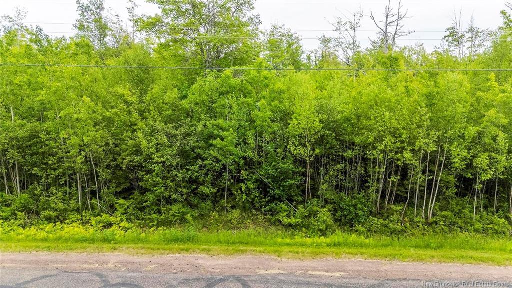Lot 17-2 Collins Lake Rd, Shemogue, NB