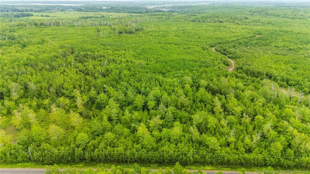 Lot 17-2 Collins Lake Rd, Shemogue, NB