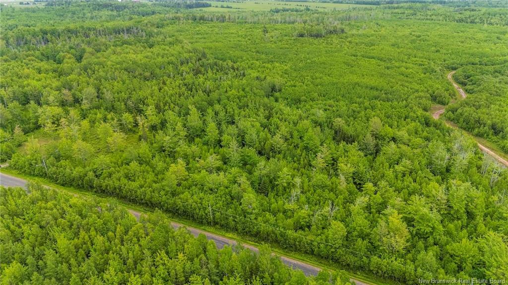 Lot 17-2 Collins Lake Rd, Shemogue, NB