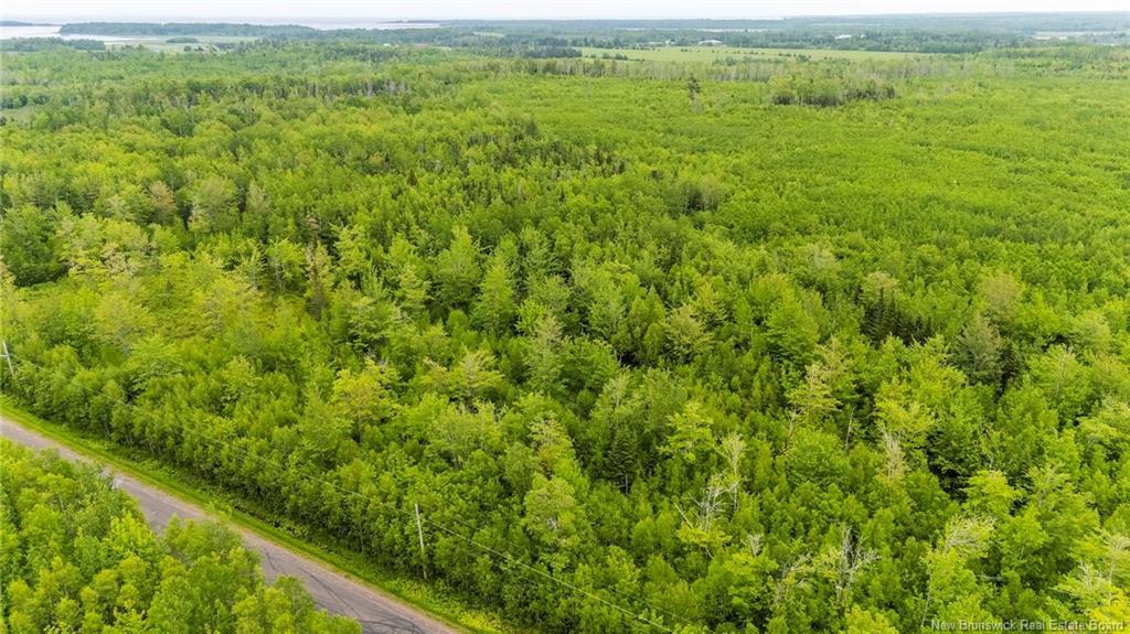 Lot 17-2 Collins Lake Rd, Shemogue, NB
