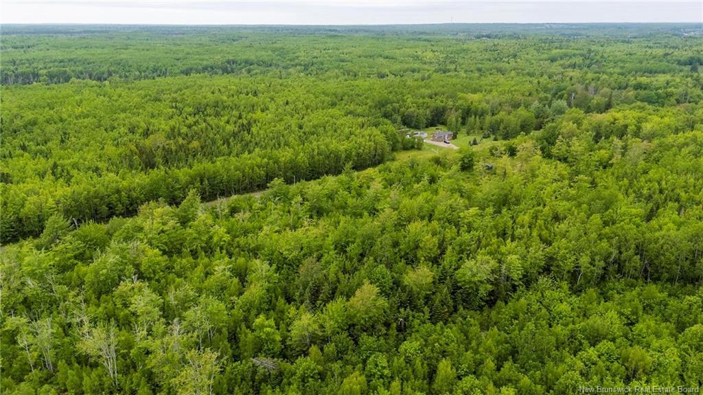 Lot 17-2 Collins Lake Rd, Shemogue, NB