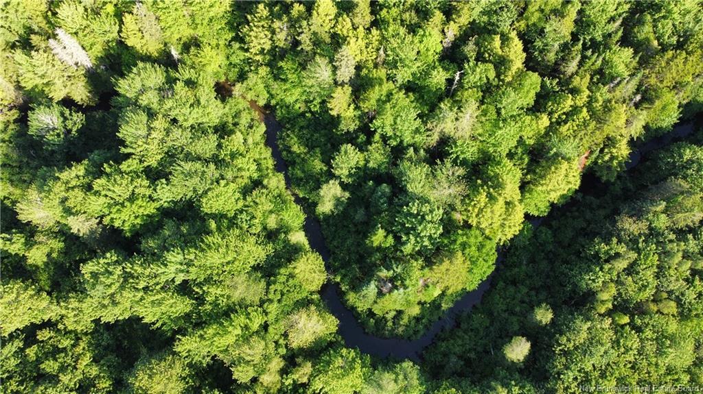 Lot 21-43 Orchard Ave, Irishtown, NB