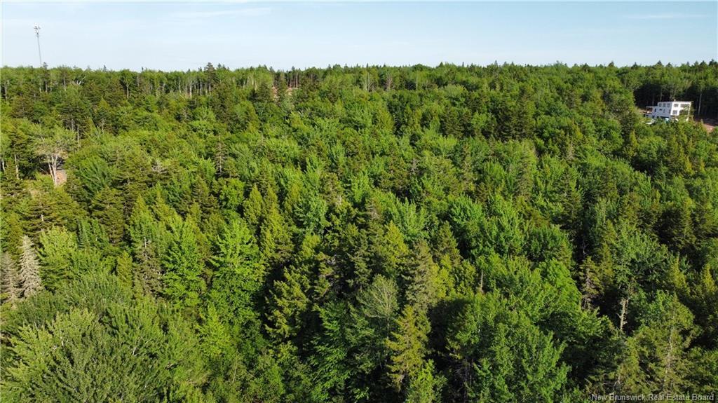 Lot 21-43 Orchard Ave, Irishtown, NB