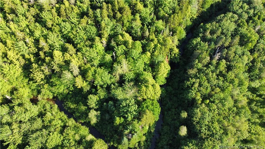 Lot 21-43 Orchard Ave, Irishtown, NB