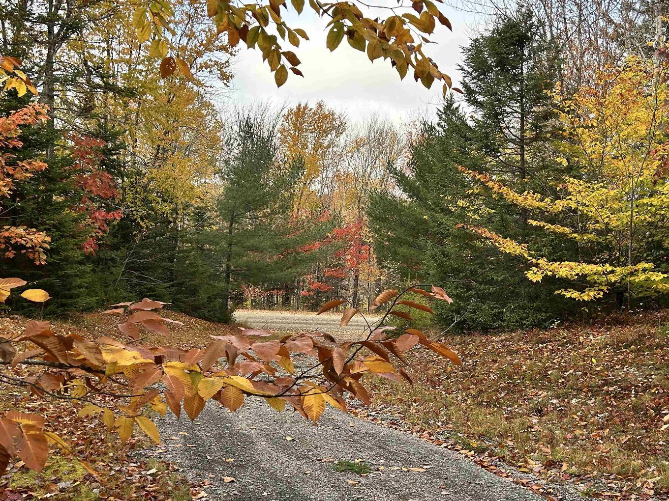 Lot 1 51 Lead Mines Road, Glenelg, NS