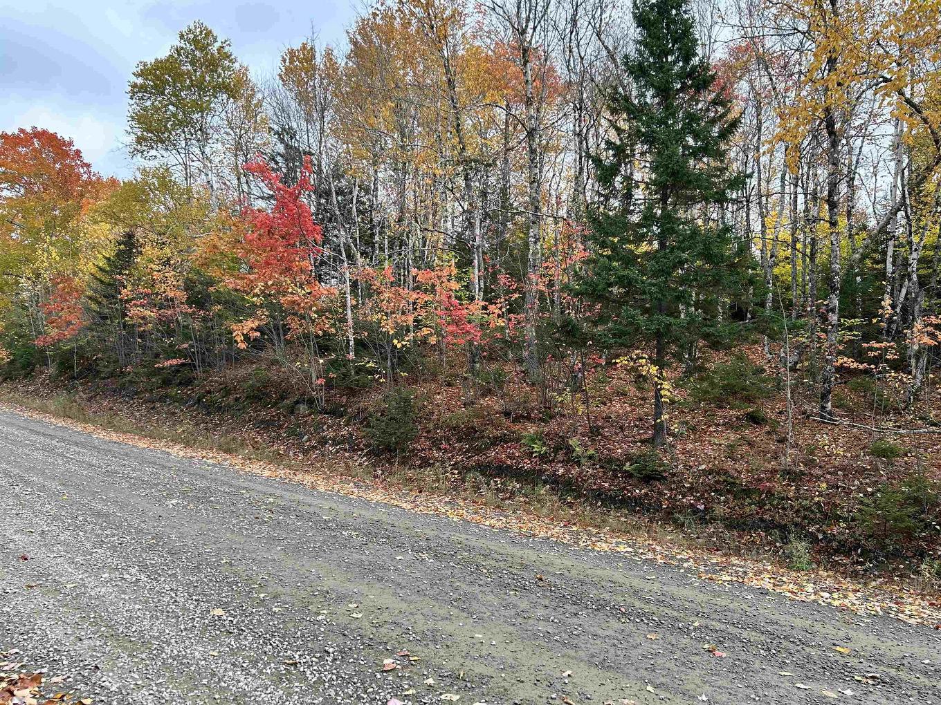 Lot 1 51 Lead Mines Road, Glenelg, NS