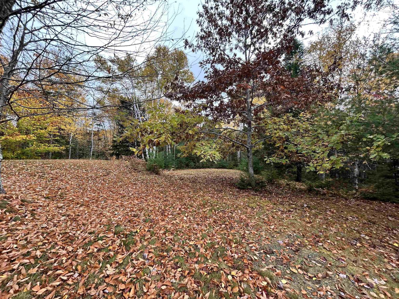 Lot 1 51 Lead Mines Road, Glenelg, NS