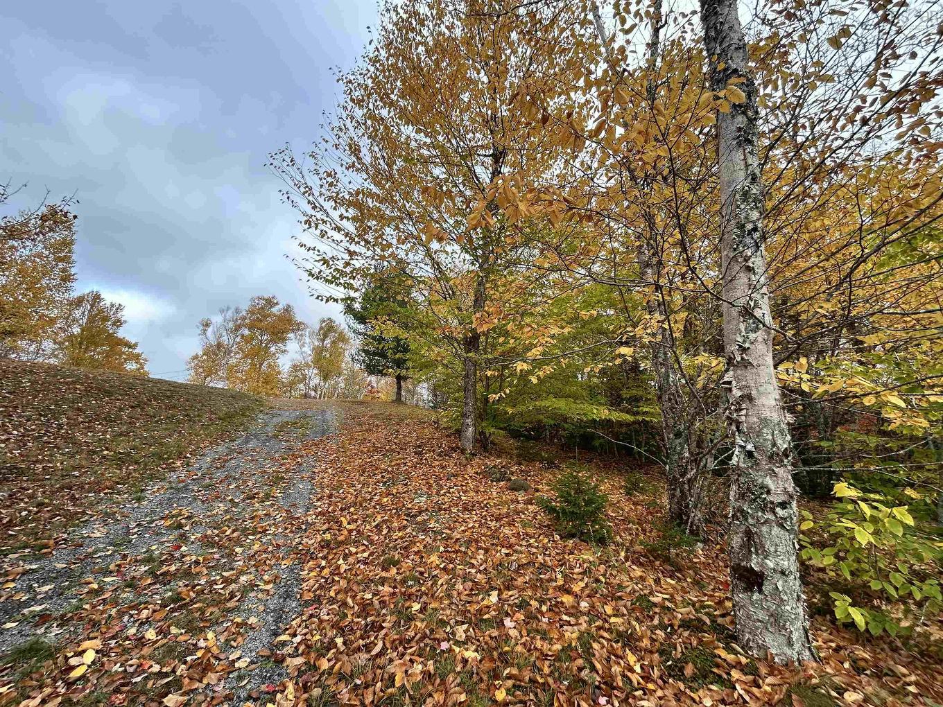 Lot 1 51 Lead Mines Road, Glenelg, NS