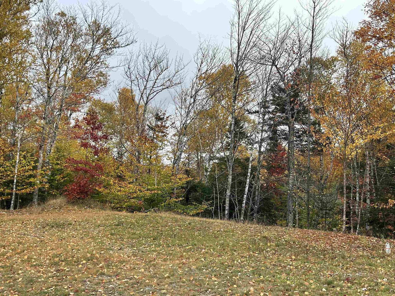 Lot 1 51 Lead Mines Road, Glenelg, NS