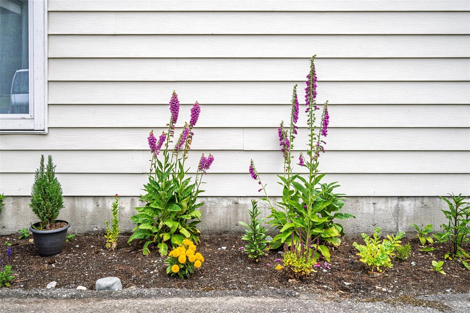 107-611 Macmillan Dr, Sayward, BC - Outdoor