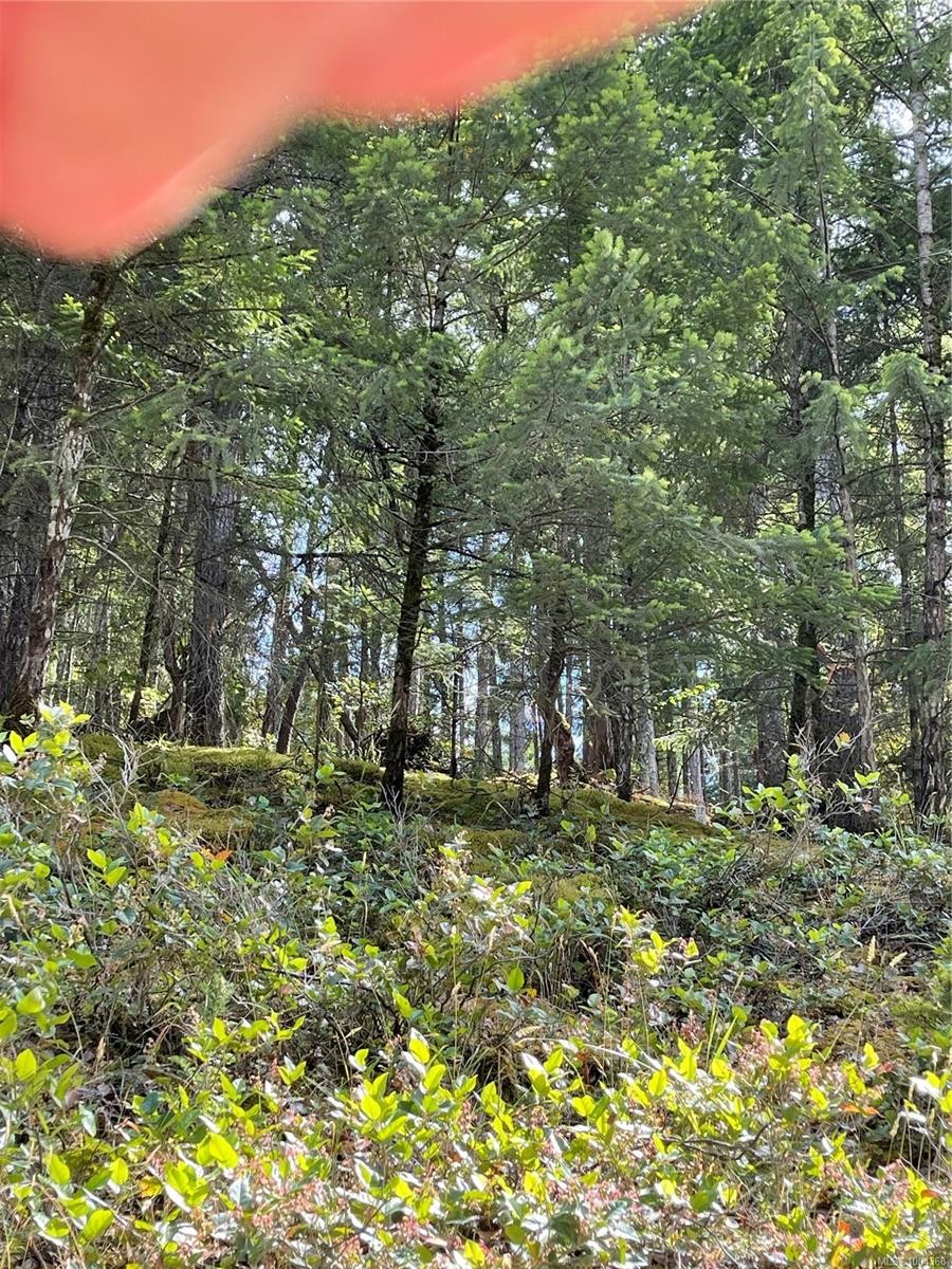 Lot 141 Coho Blvd, Mudge Island, BC