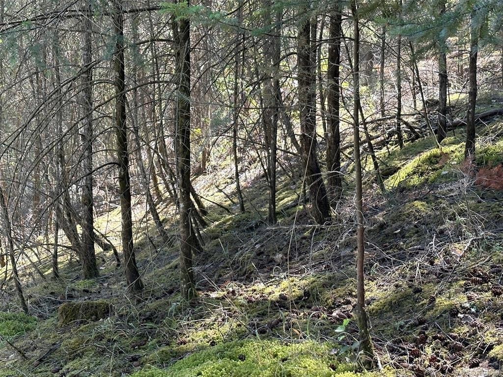 Lot 141 Coho Blvd, Mudge Island, BC