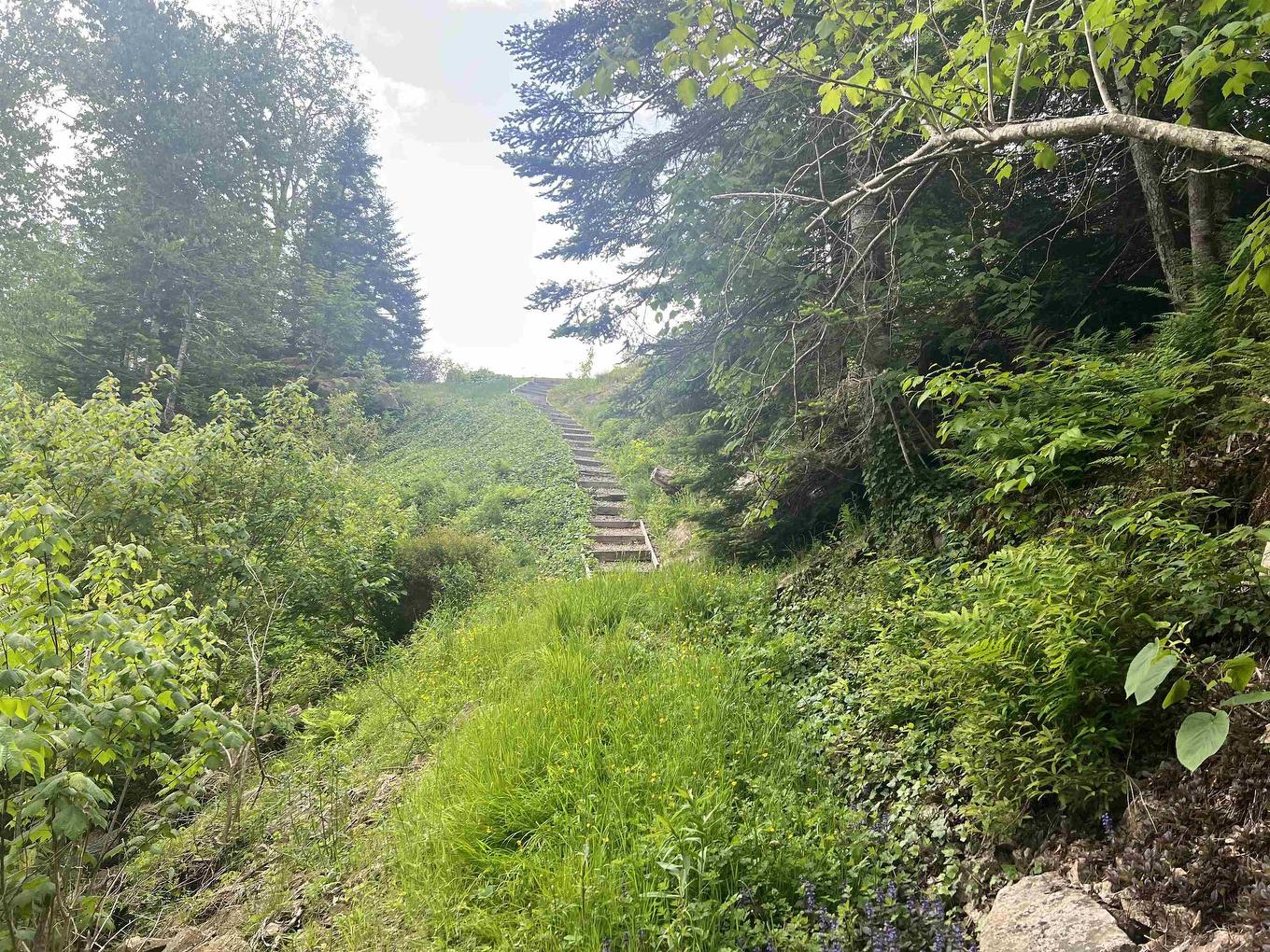 3504 Highway 311, Nuttby, NS