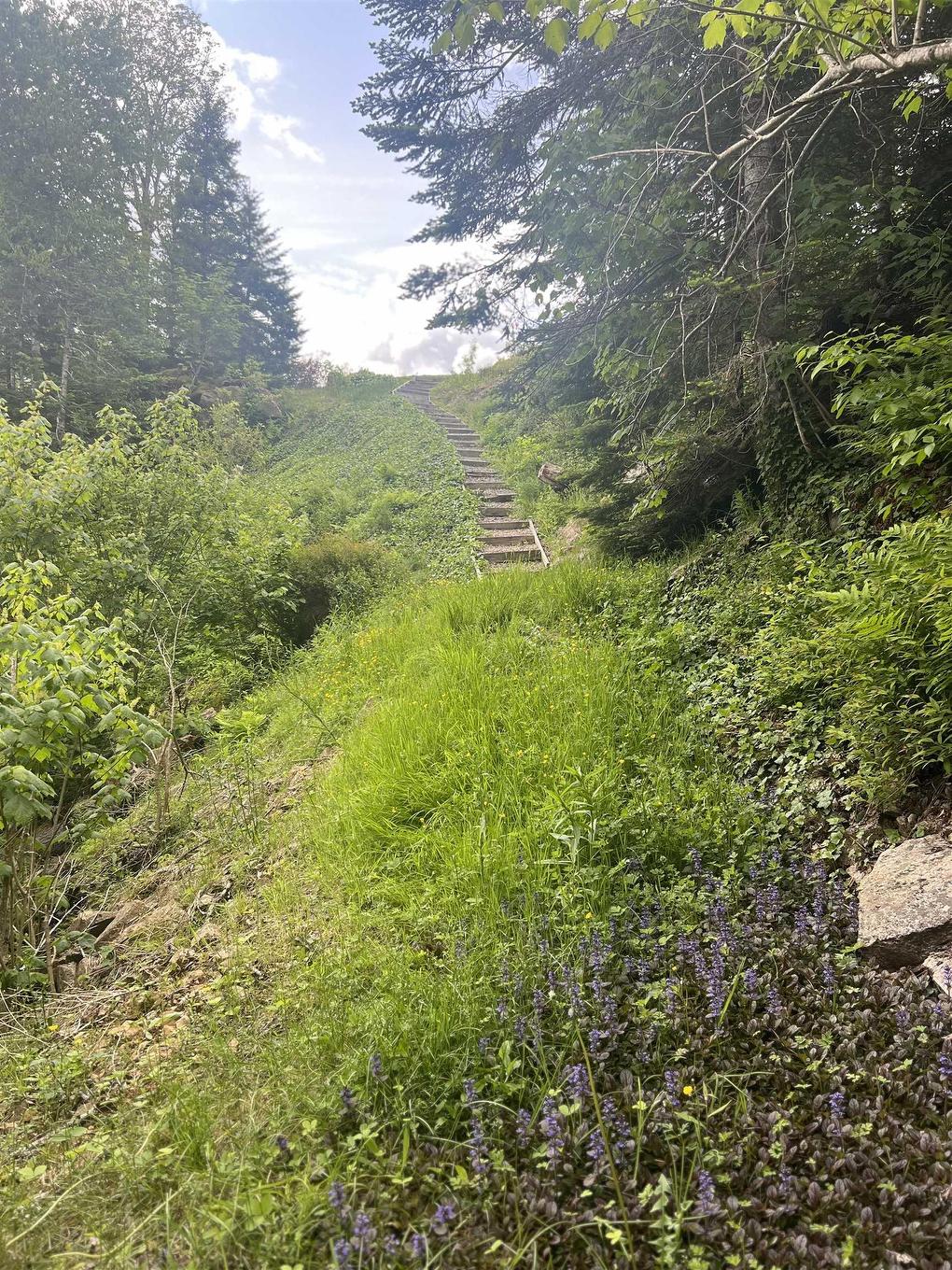 3504 Highway 311, Nuttby, NS