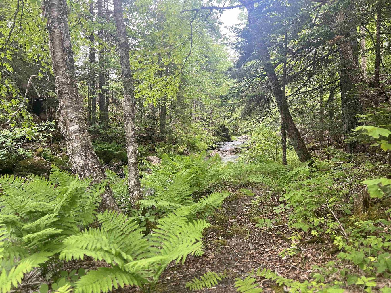 3504 Highway 311, Nuttby, NS