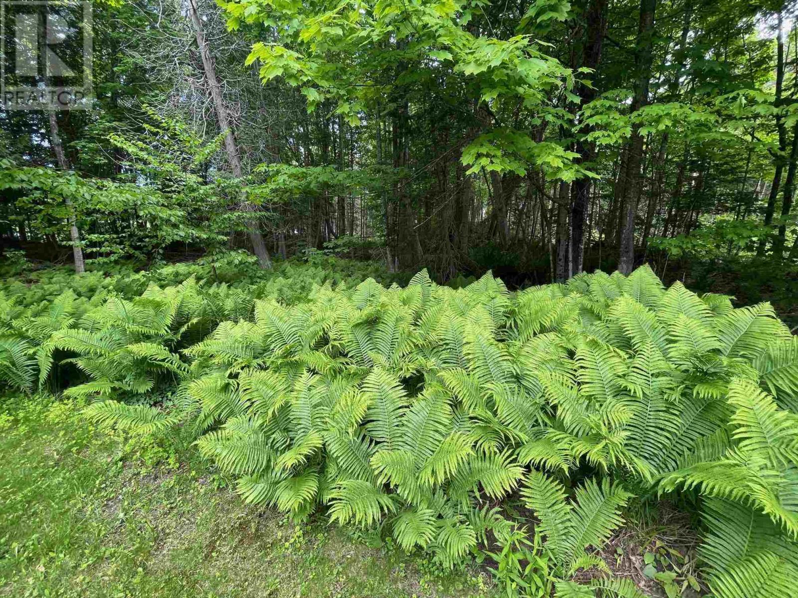 98 Whispering Pines, Batchewana, ON - Outdoor