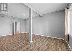 Basement master bedroom -