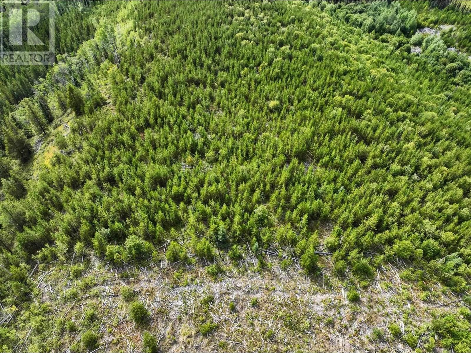 Lot 5 Saxton Lake Road, Prince George, BC