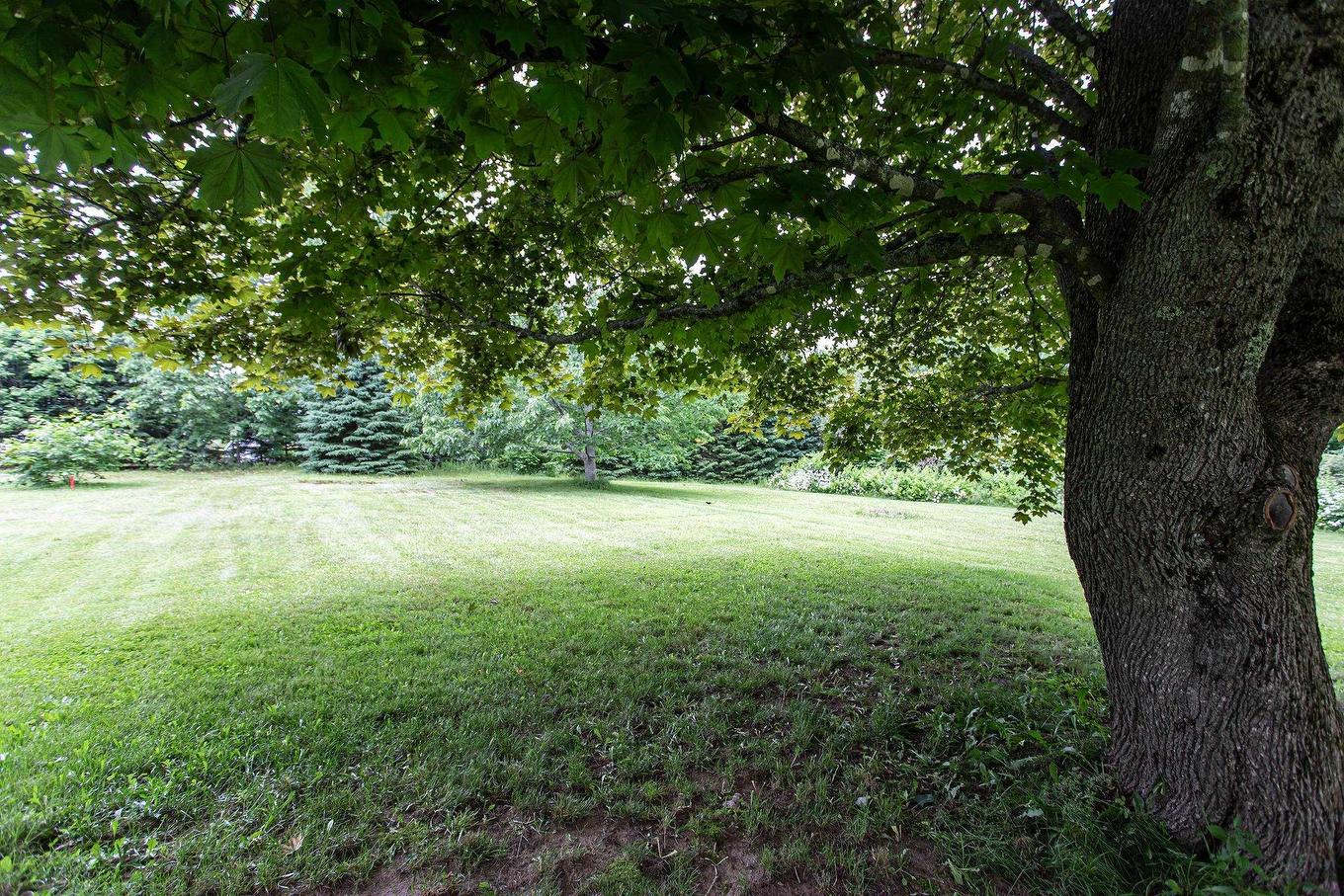 108 Cottage Street, Berwick, NS