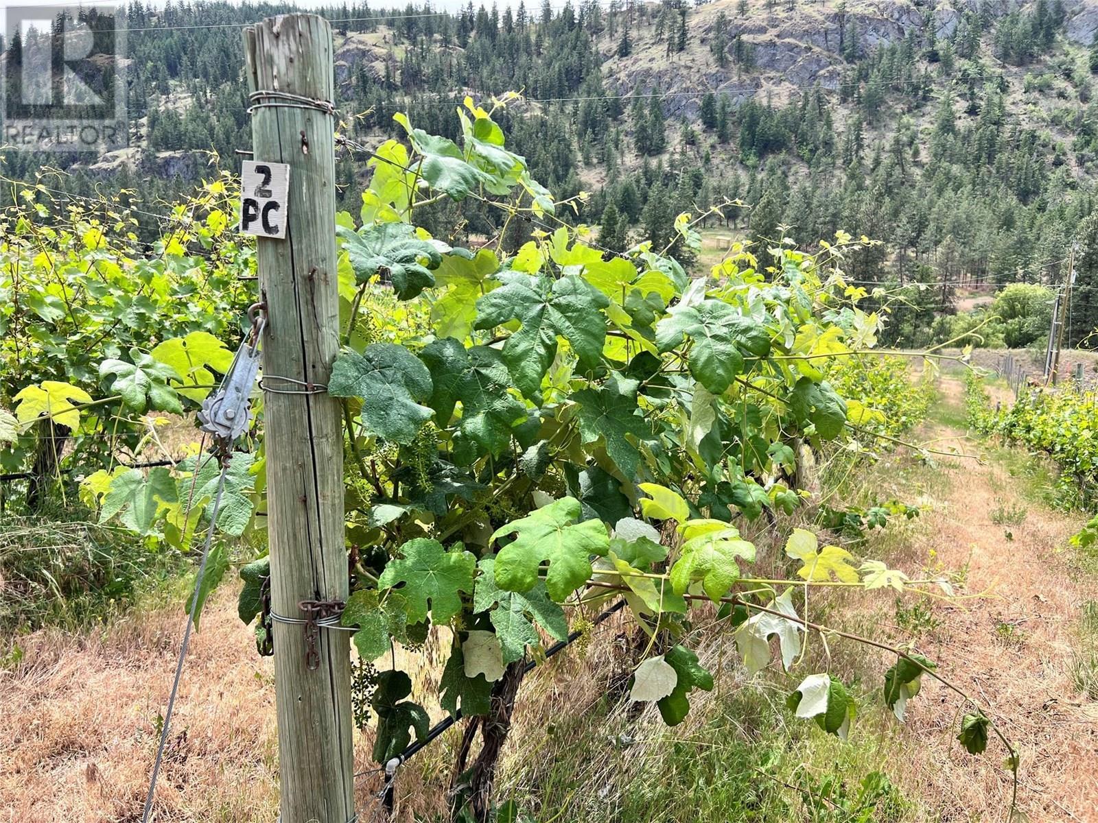 3655 Mclean Creek Road, Okanagan Falls, BC - Outdoor